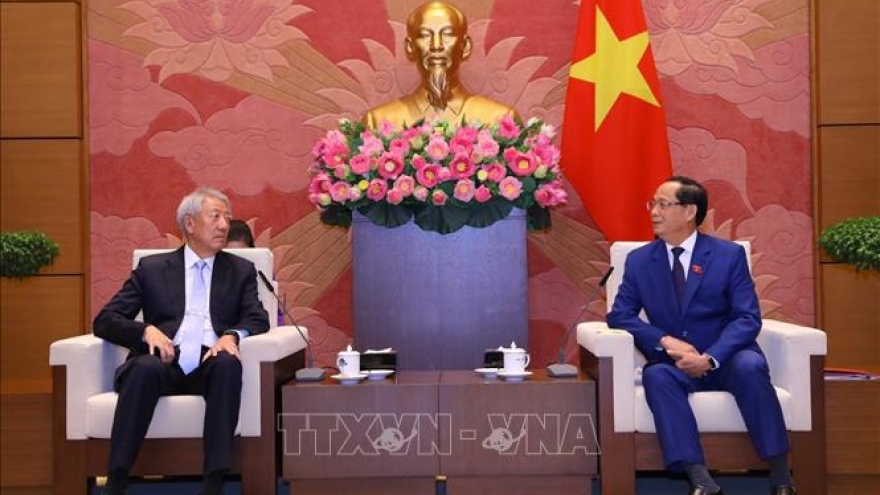 Promoting strategic partnership between Vietnam and Singapore
